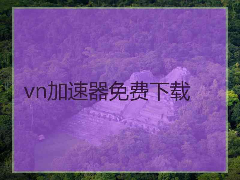 vn加速器免费下载