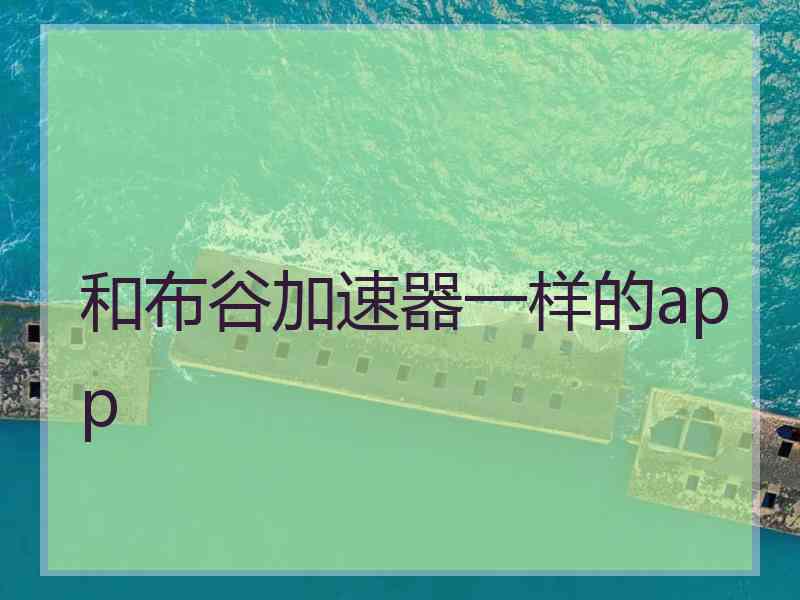 和布谷加速器一样的app
