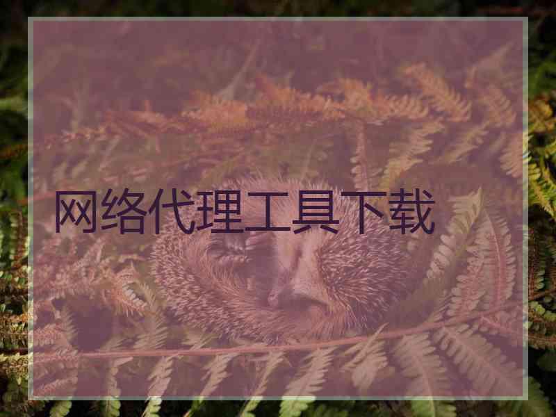 网络代理工具下载