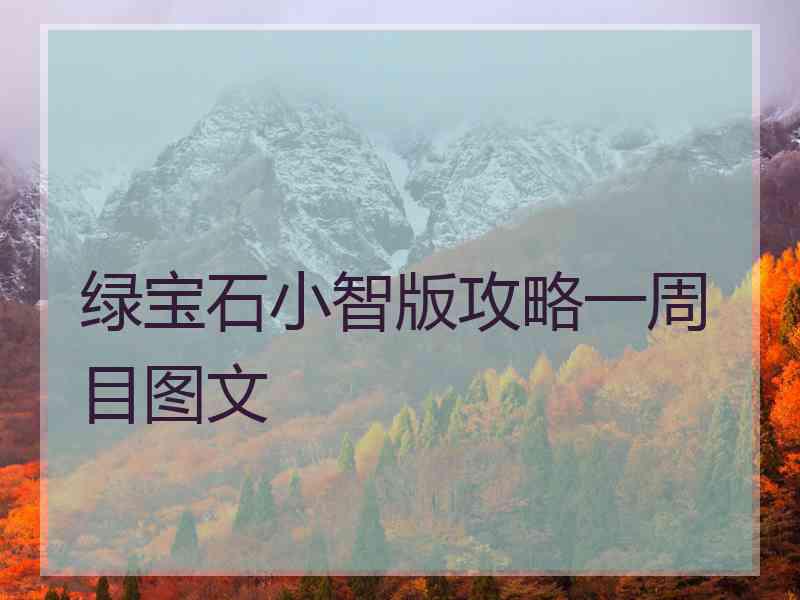 绿宝石小智版攻略一周目图文