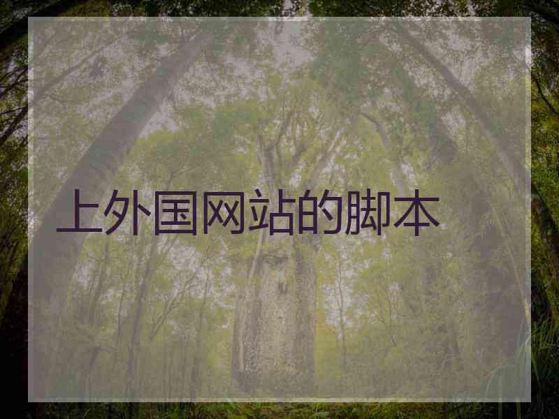上外国网站的脚本