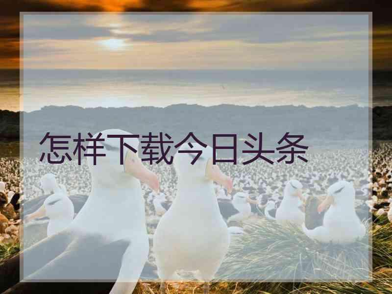 怎样下载今日头条