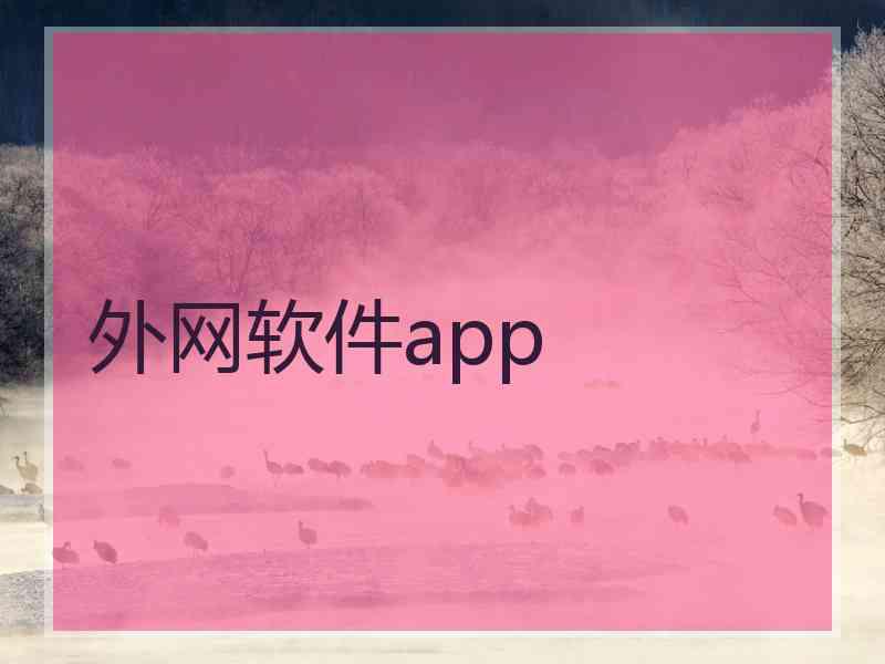 外网软件app