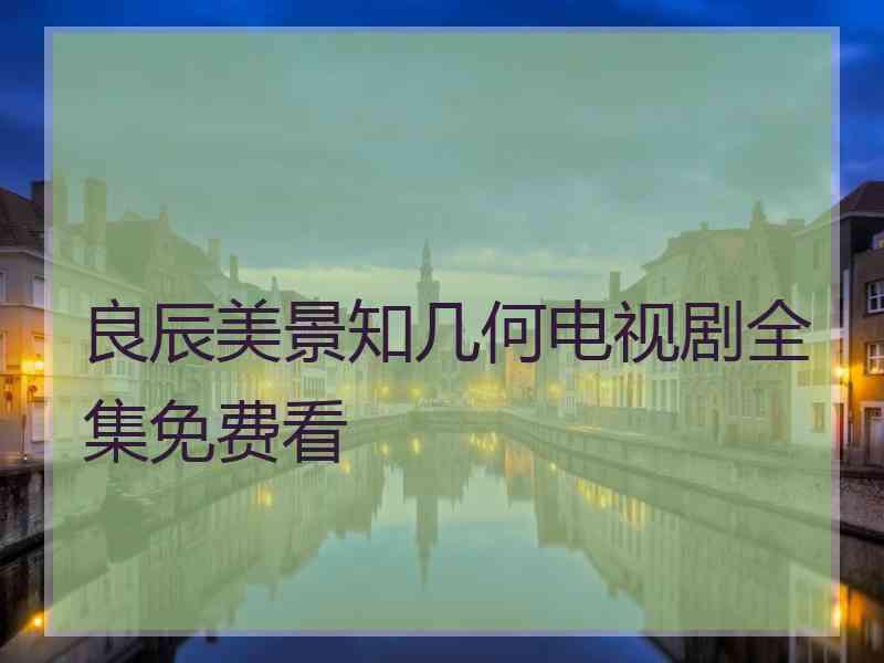 良辰美景知几何电视剧全集免费看