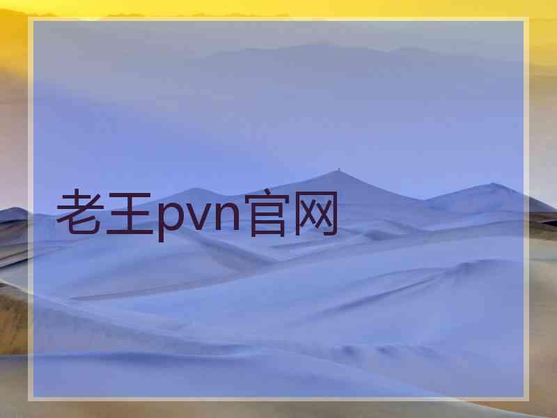 老王pvn官网