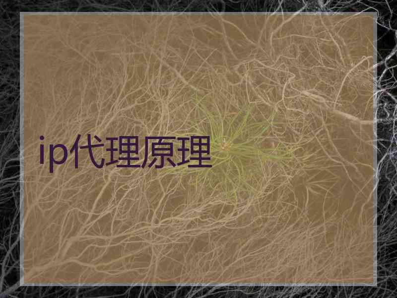 ip代理原理