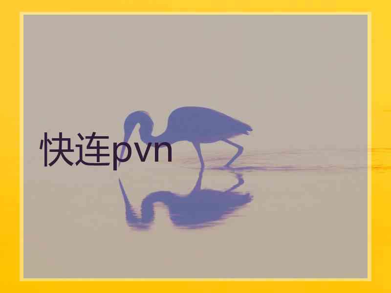 快连pvn