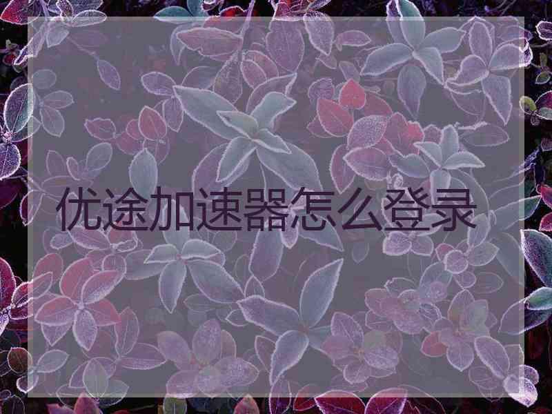 优途加速器怎么登录