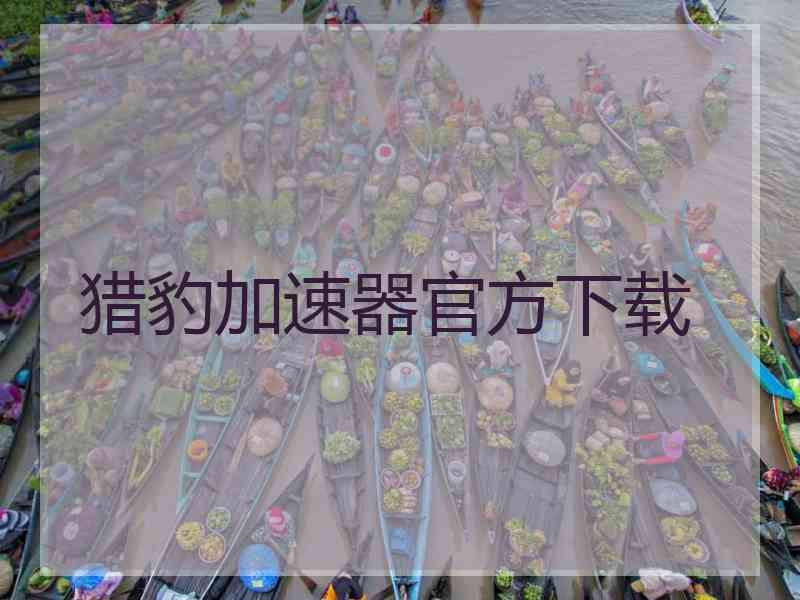 猎豹加速器官方下载