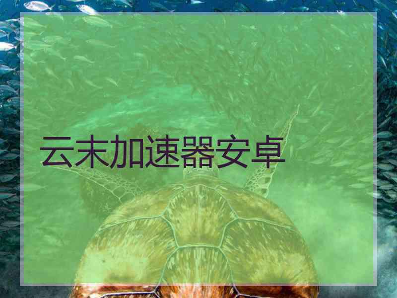 云末加速器安卓