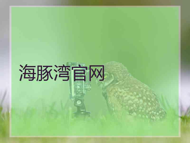 海豚湾官网