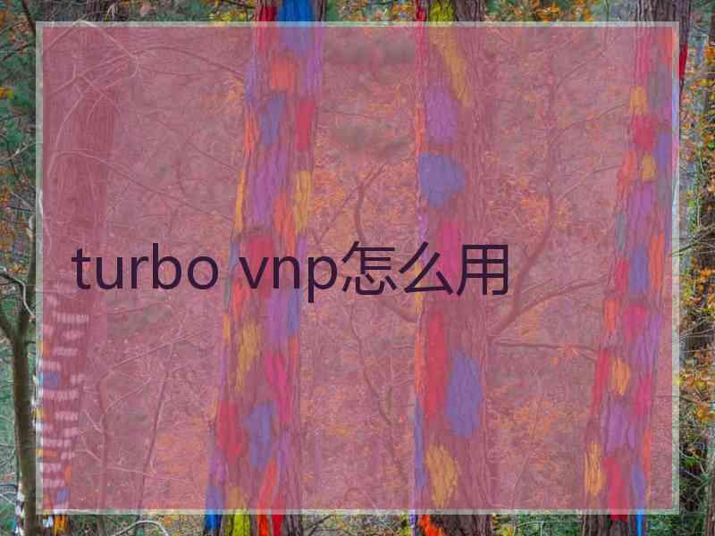 turbo vnp怎么用