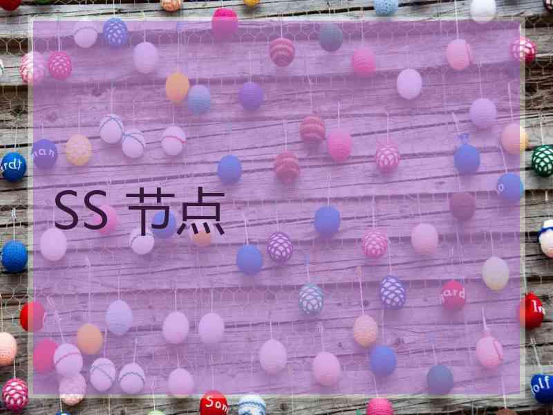SS 节点