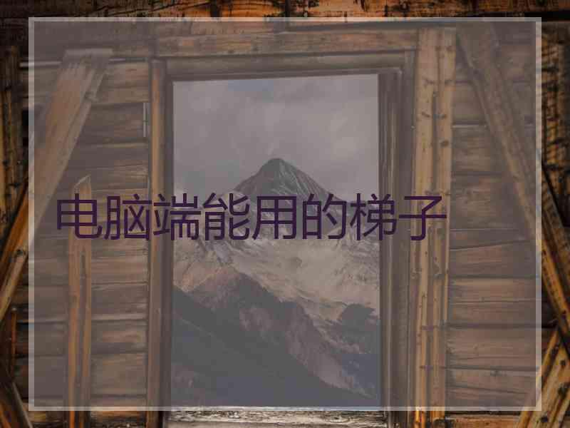 电脑端能用的梯子