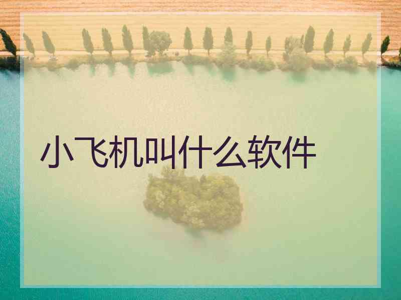 小飞机叫什么软件