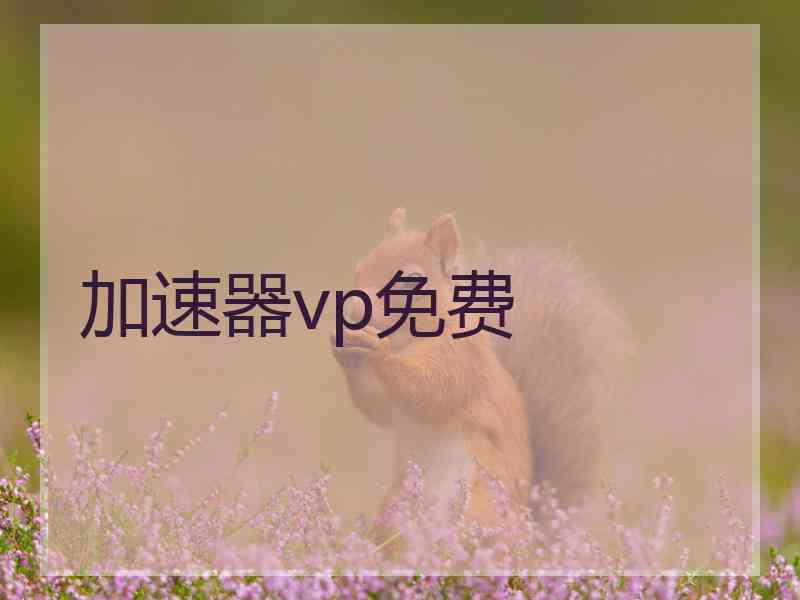 加速器vp免费