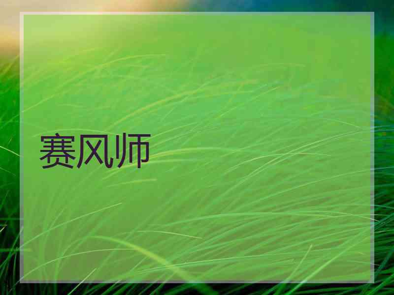 赛风师