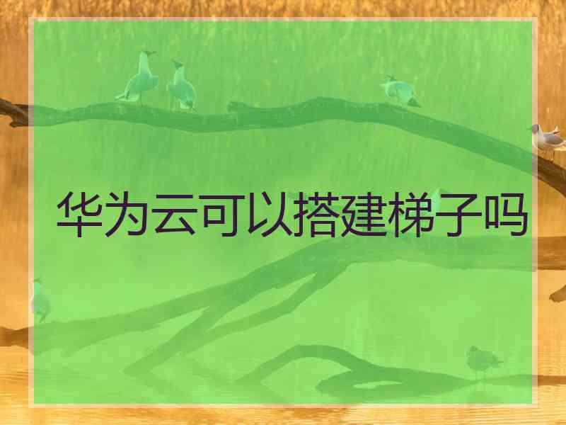 华为云可以搭建梯子吗