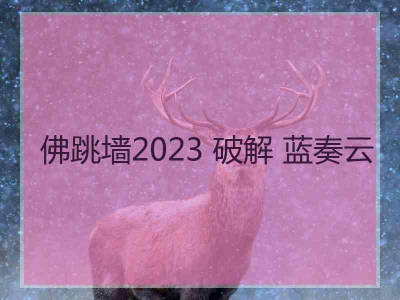 佛跳墙2023 破解 蓝奏云