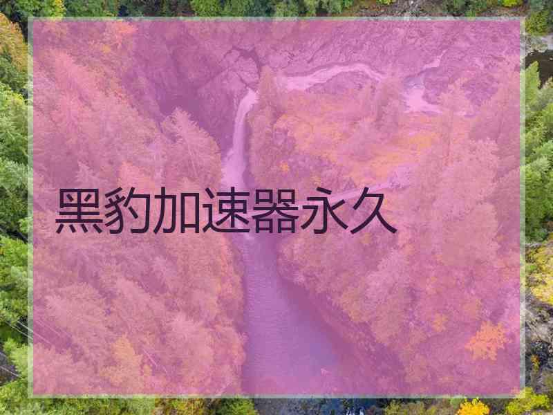 黑豹加速器永久
