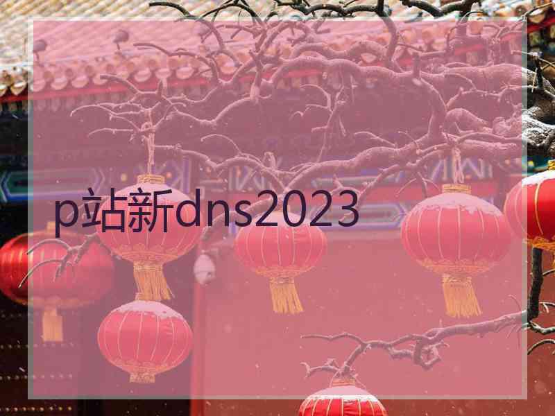 p站新dns2023