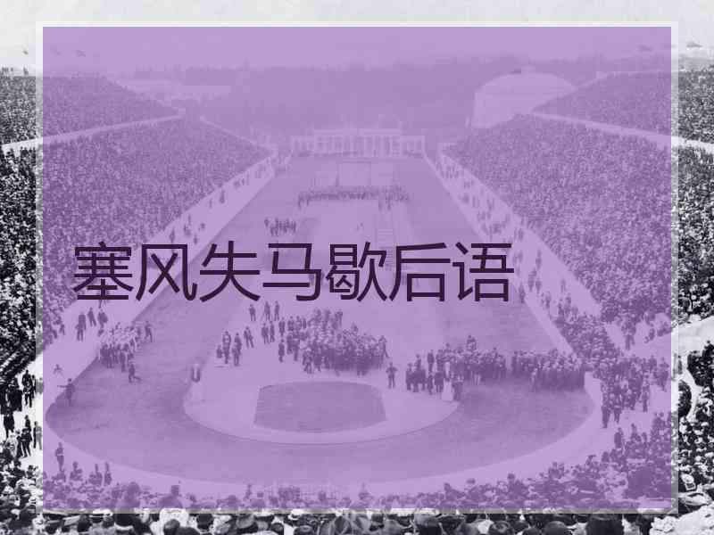 塞风失马歇后语