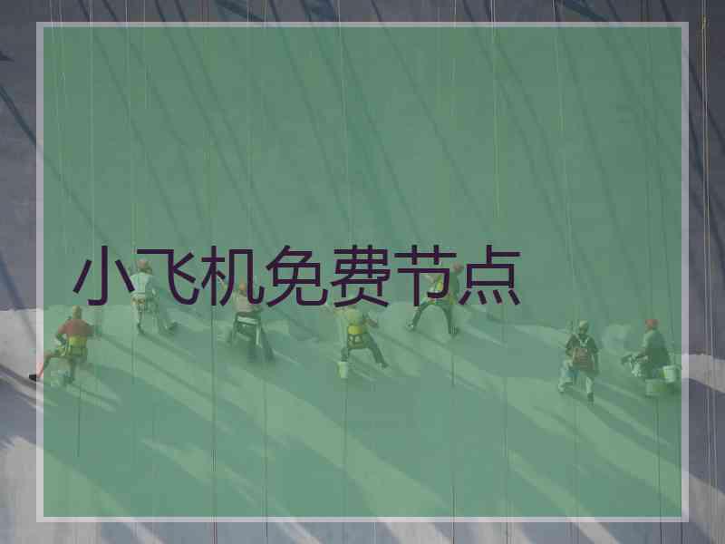 小飞机免费节点