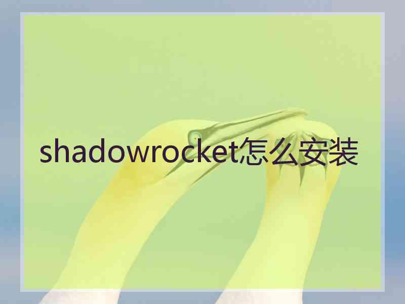 shadowrocket怎么安装