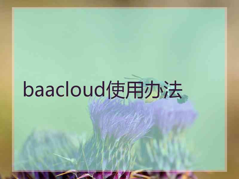 baacloud使用办法
