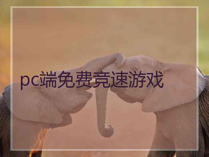 pc端免费竞速游戏