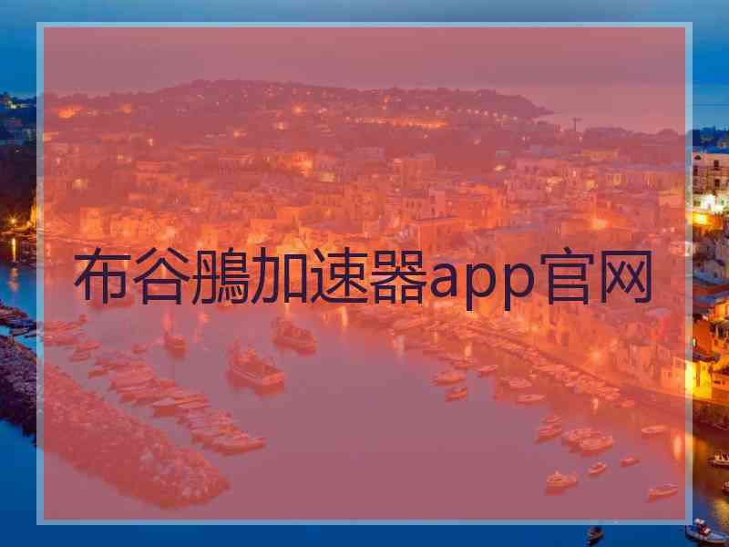 布谷鴅加速器app官网