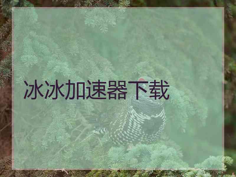 冰冰加速器下载