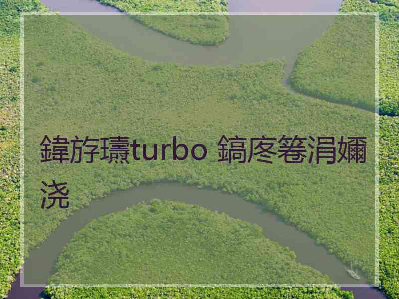 鍏斿瓙turbo 鎬庝箞涓嬭浇