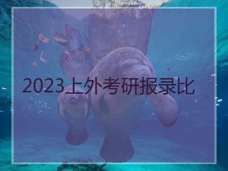 2023上外考研报录比