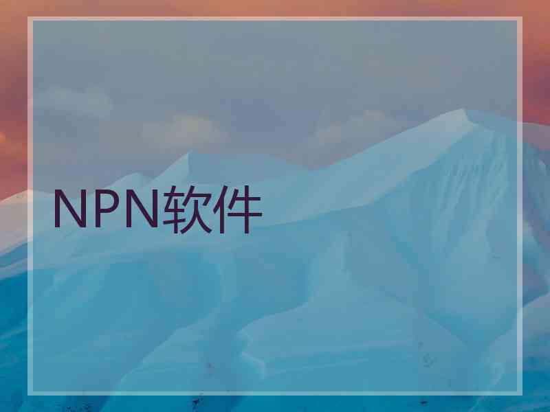 NPN软件