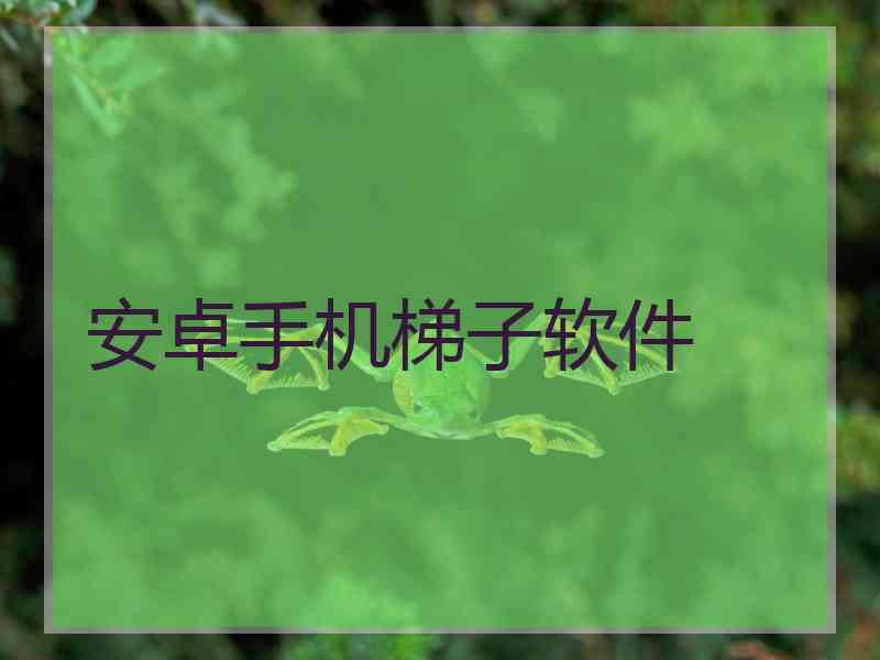 安卓手机梯子软件