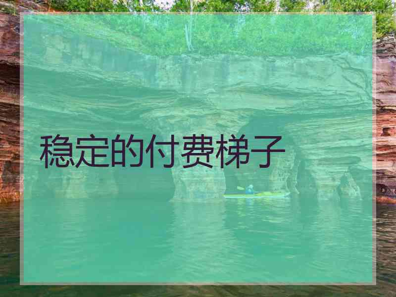 稳定的付费梯子
