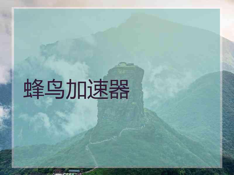 蜂鸟加速器