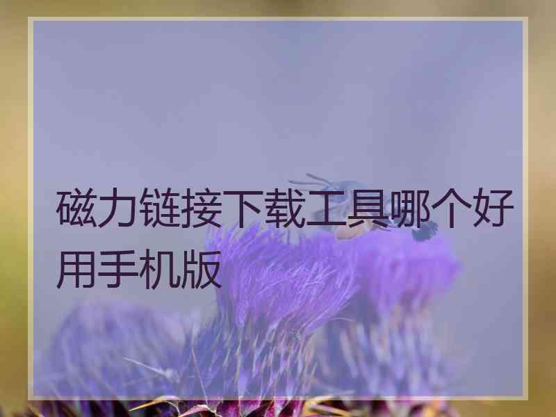 磁力链接下载工具哪个好用手机版