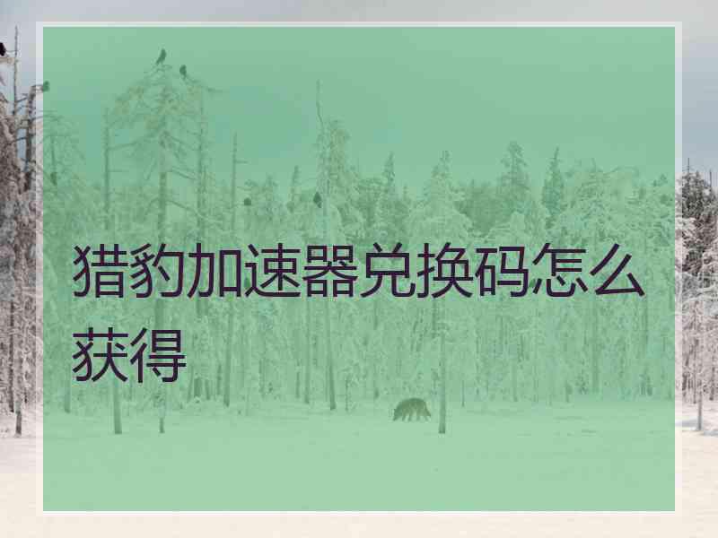 猎豹加速器兑换码怎么获得