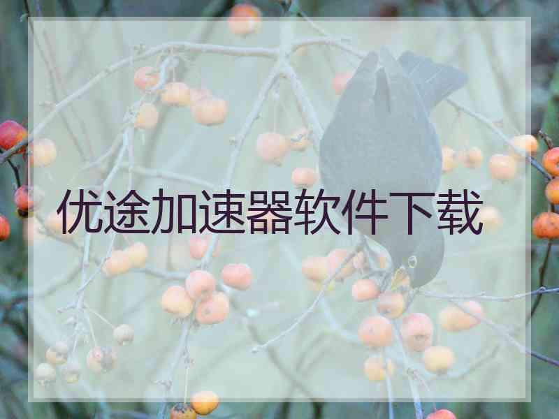 优途加速器软件下载