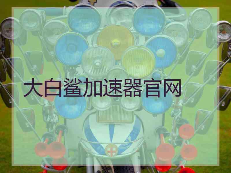 大白鲨加速器官网