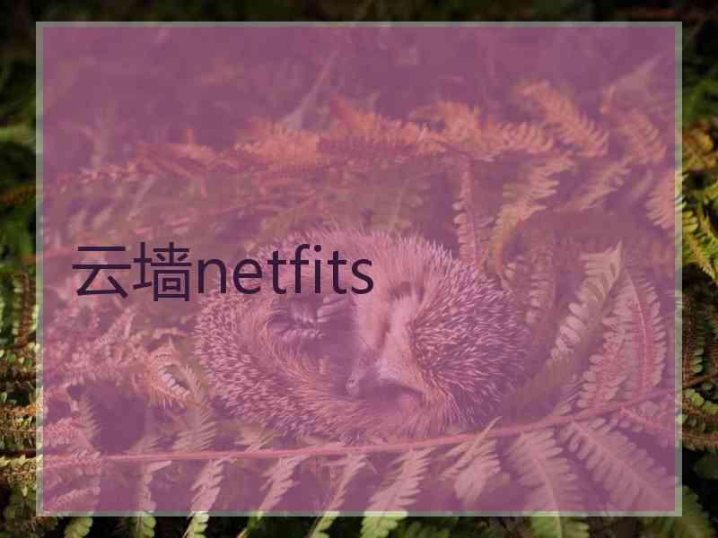 云墙netfits