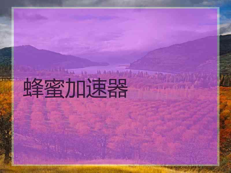蜂蜜加速器