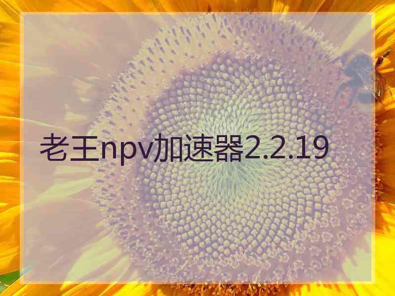 老王npv加速器2.2.19