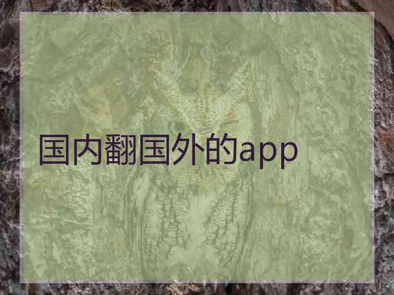 国内翻国外的app