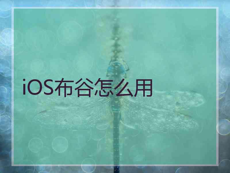 iOS布谷怎么用