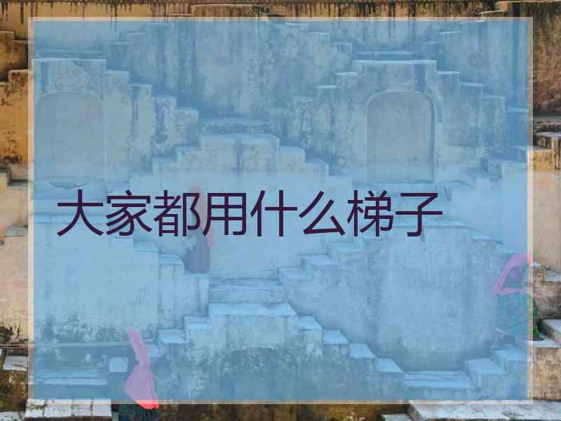 大家都用什么梯子