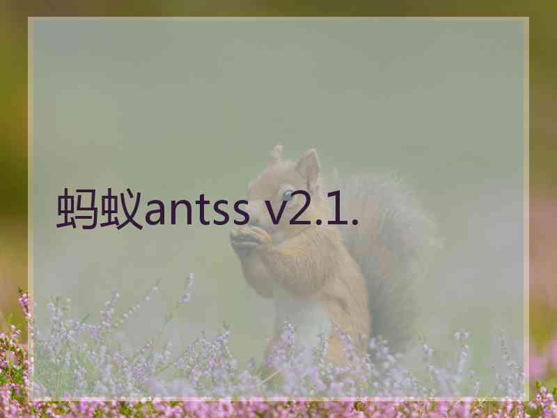 蚂蚁antss v2.1.