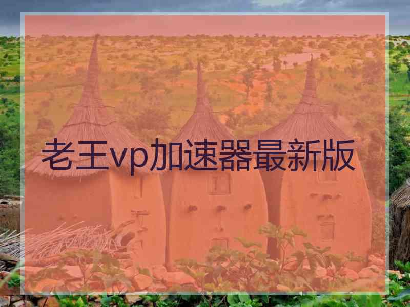 老王vp加速器最新版